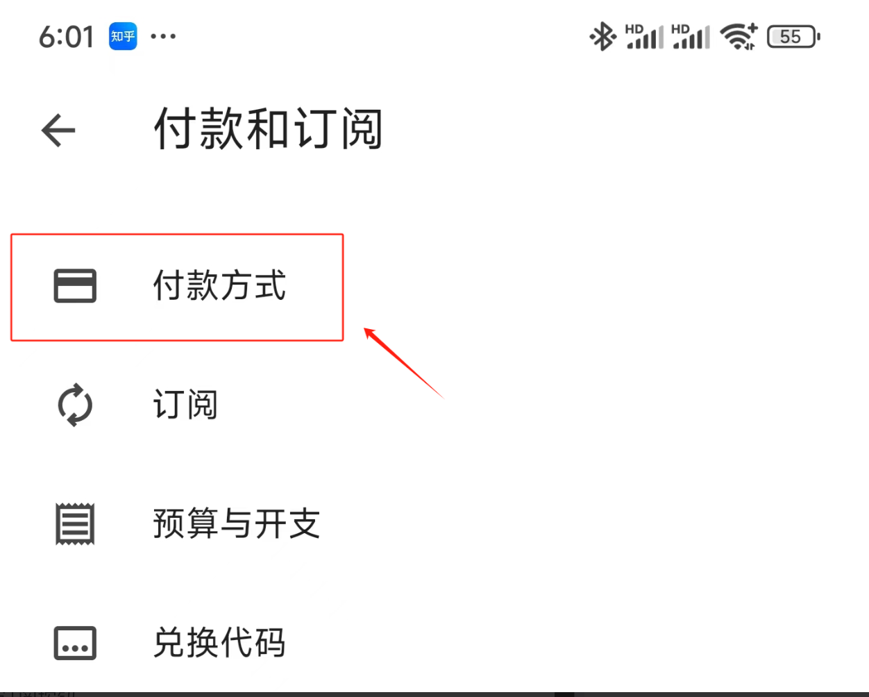 进入付款方式